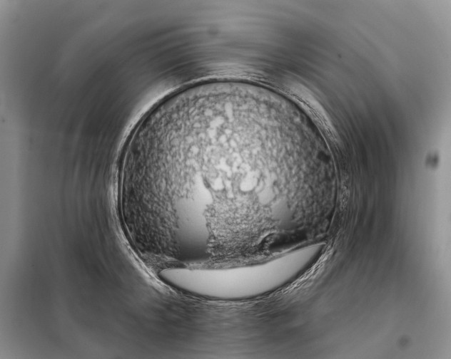 X0000097990804200804071150