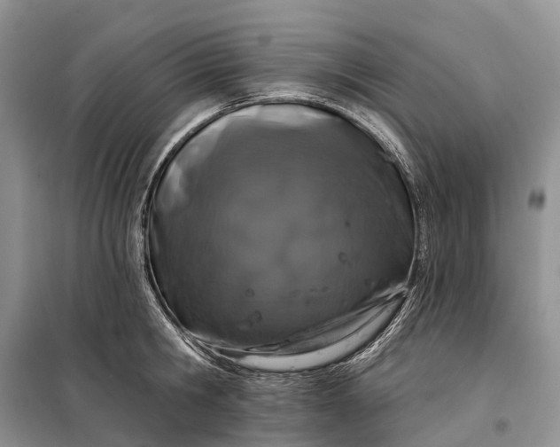 X0000097990806200804071150