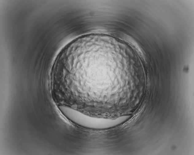 X0000097990808200804071150