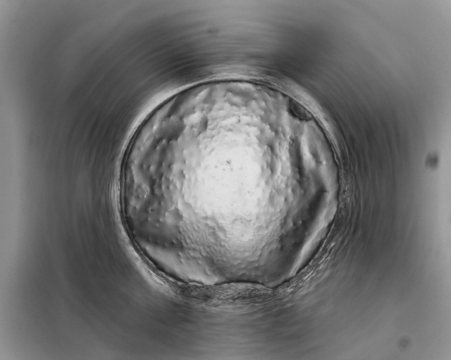 X0000097990811200804071150