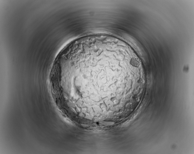 X0000097990814200804071150
