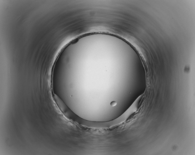 X0000097990815200804071150