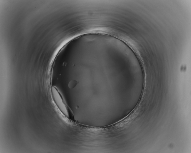 X0000097990816200804071150