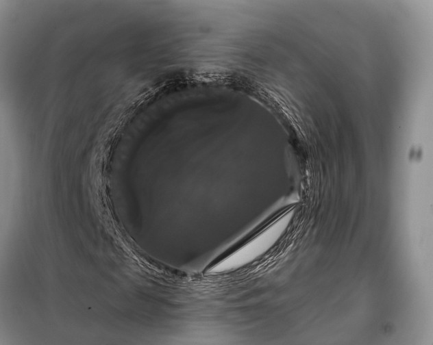 X0000097990817200804071149