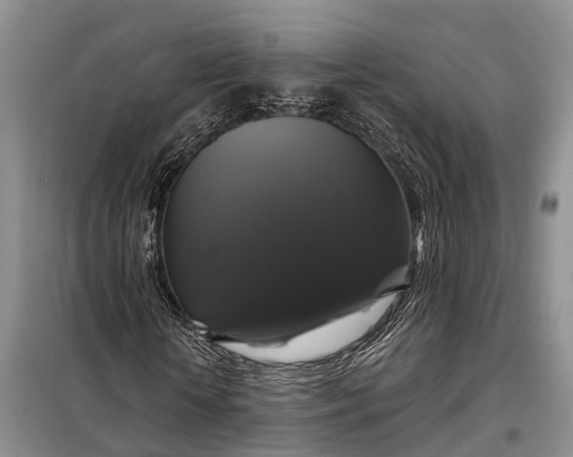 X0000097990818200804071149