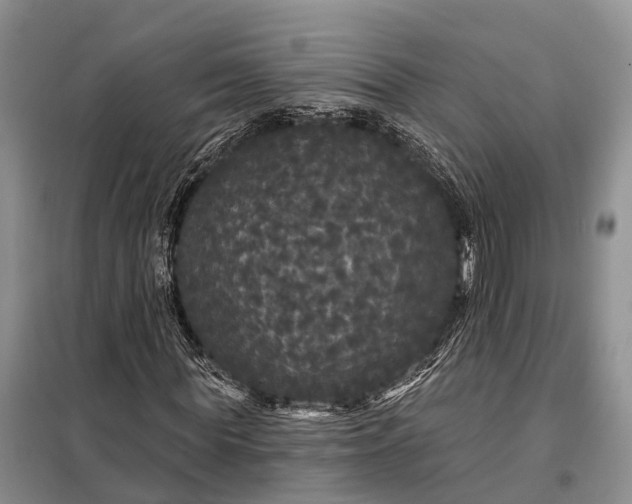 X0000097990819200804071149