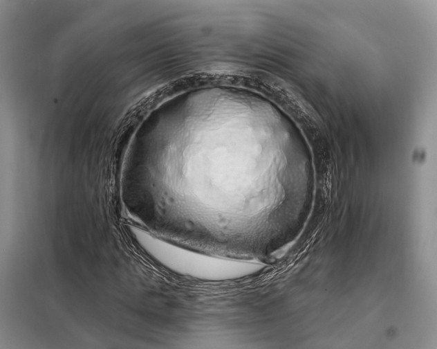 X0000097990821200804071149