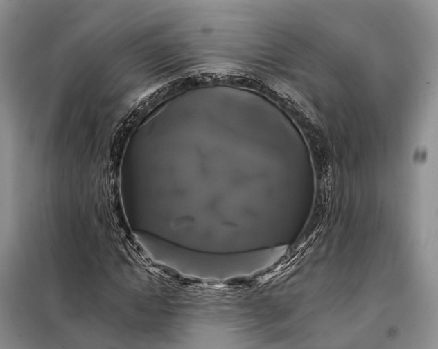 X0000097990822200804071149