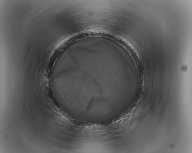 X0000097990823200804071149