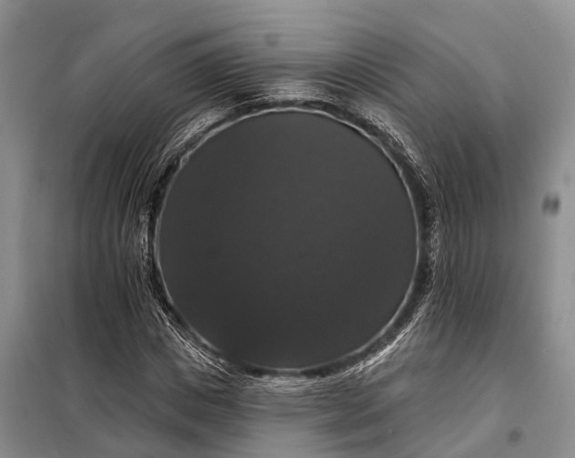 X0000097990825200804071149