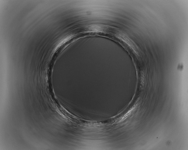 X0000097990826200804071149