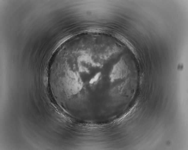 X0000097990829200804071149