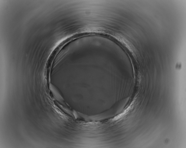 X0000097990830200804071149