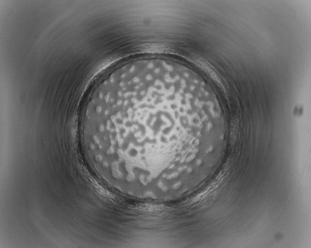 X0000097990831200804071149