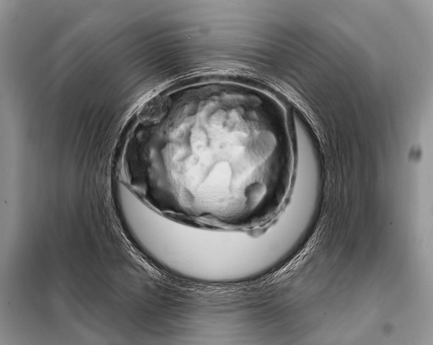 X0000097990834200804071149