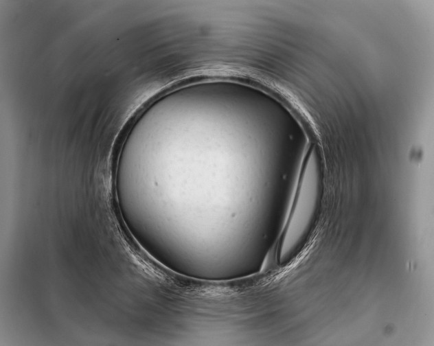 X0000097990837200804071149