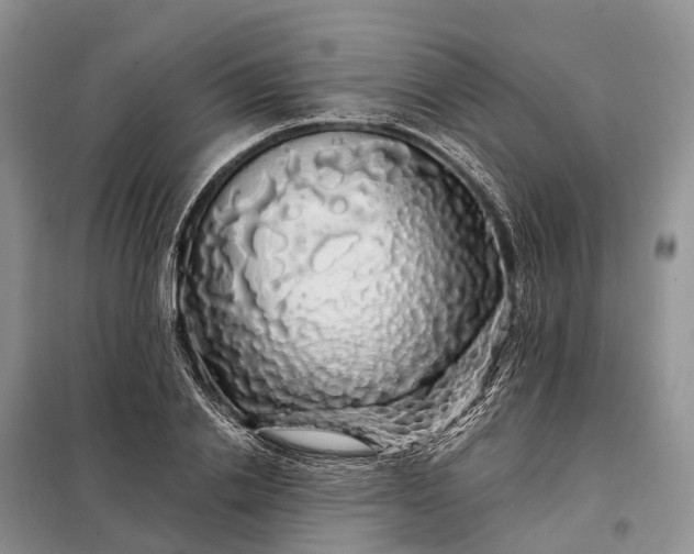 X0000097990838200804071149