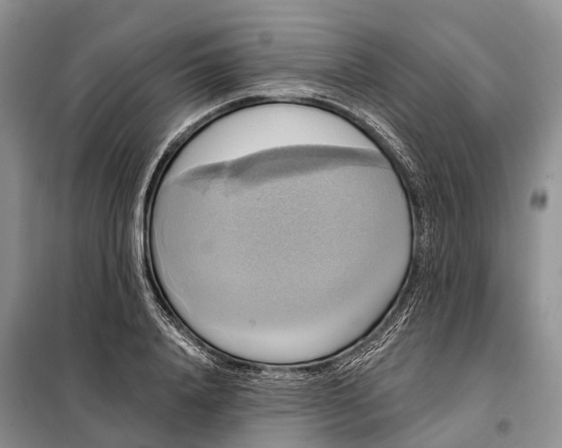 X0000097990840200804071149