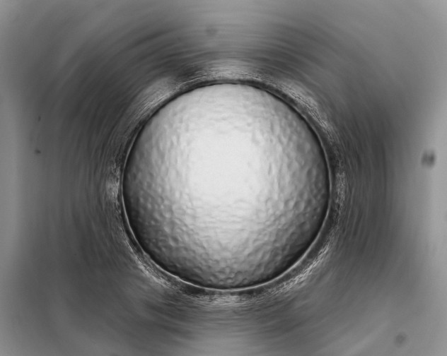 X0000097990841200804071149