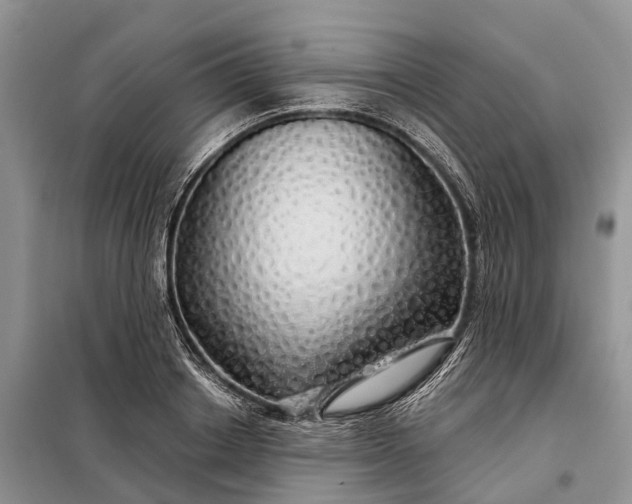 X0000097990842200804071149