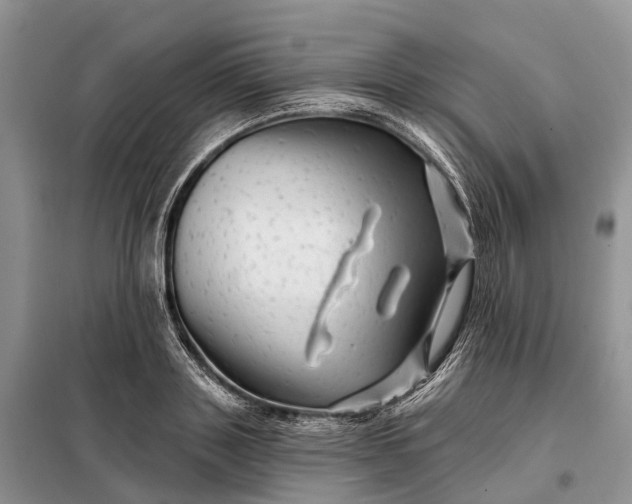 X0000097990843200804071149