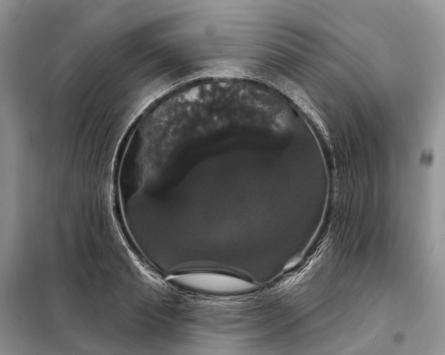 X0000097990845200804071149