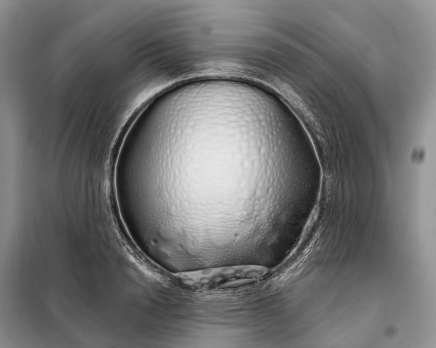 X0000097990846200804071149