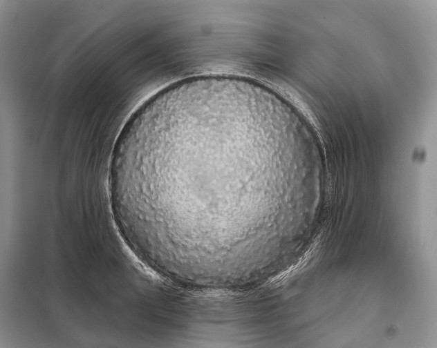 X0000097990847200804071149