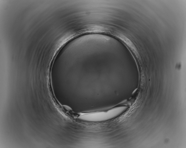 X0000097990850200804071149
