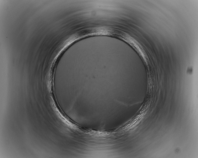 X0000097990851200804071149