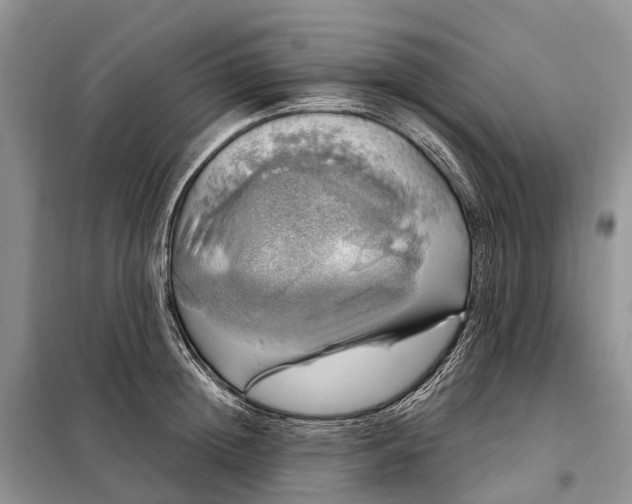 X0000097990852200804071149