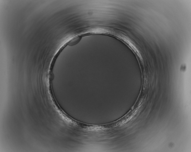 X0000097990853200804071149