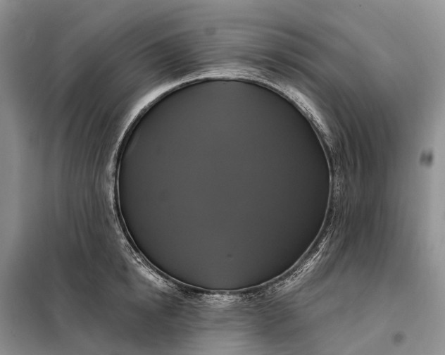 X0000097990854200804071149