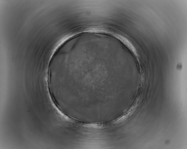 X0000097990855200804071149