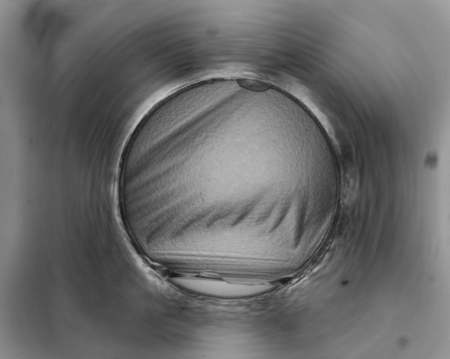 X0000097990861200804071149