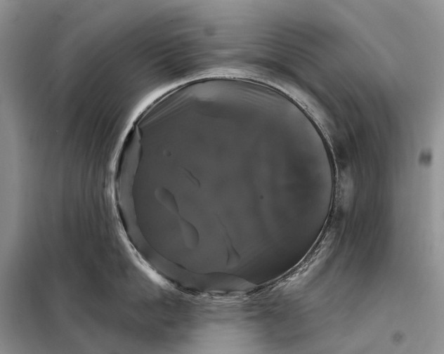 X0000097990862200804071150