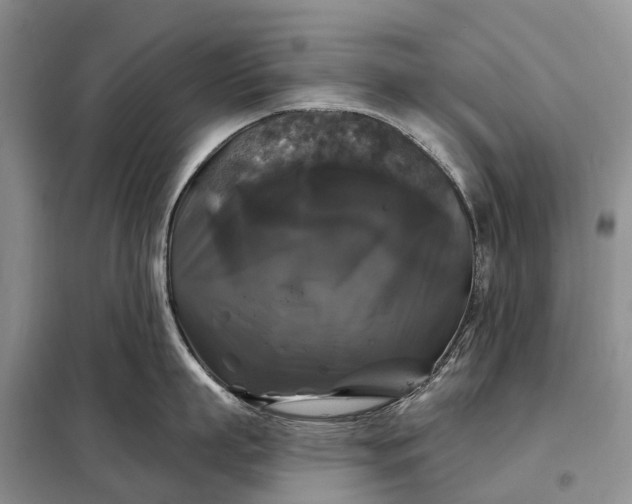 X0000097990863200804071150