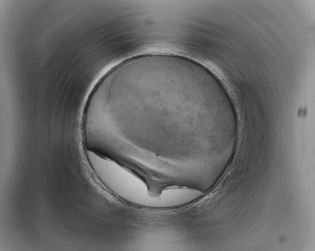 X0000097990864200804071150