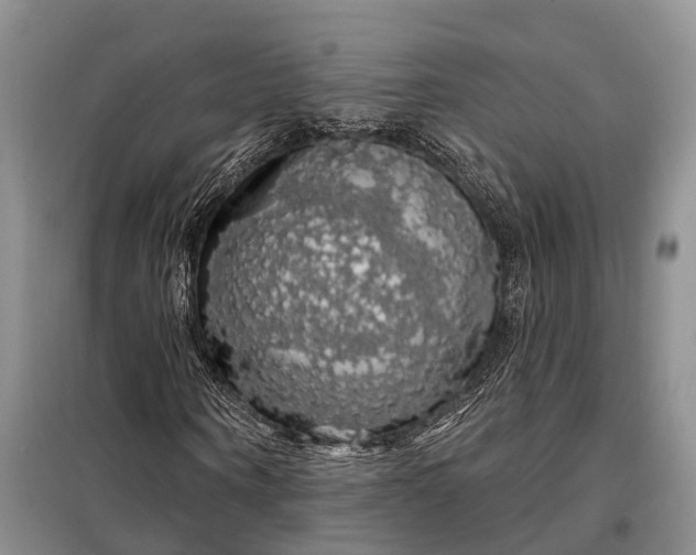 X0000097990866200804071149