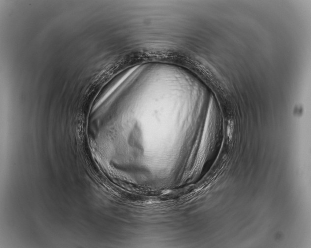 X0000097990867200804071149