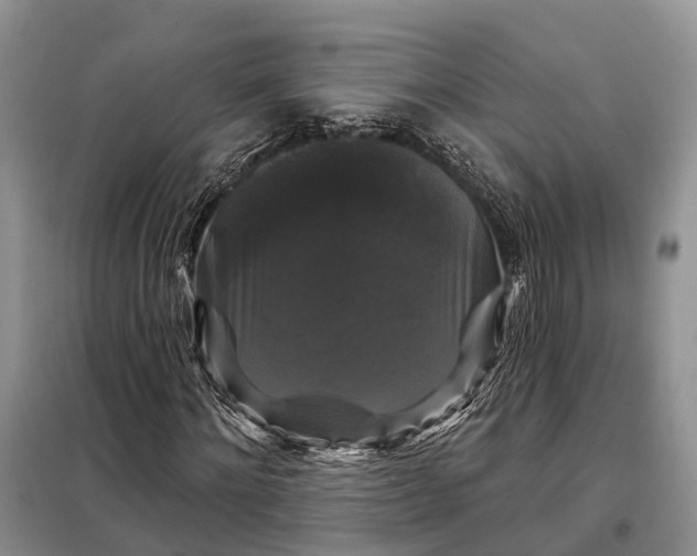 X0000097990868200804071149
