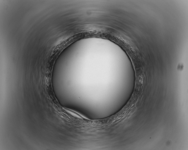 X0000097990869200804071149