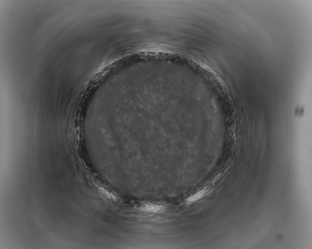 X0000097990870200804071149