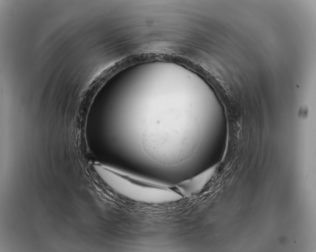 X0000097990872200804071149