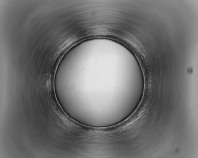 X0000097990873200804071149
