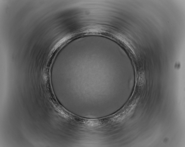 X0000097990874200804071149