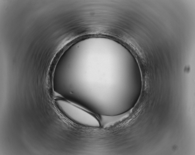 X0000097990876200804071149
