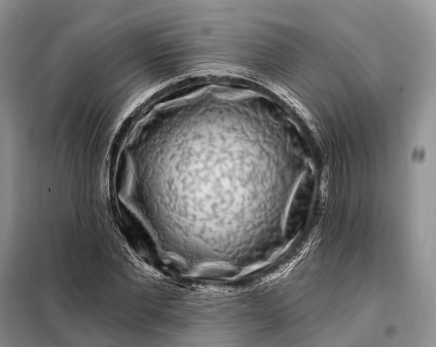 X0000097990877200804071149