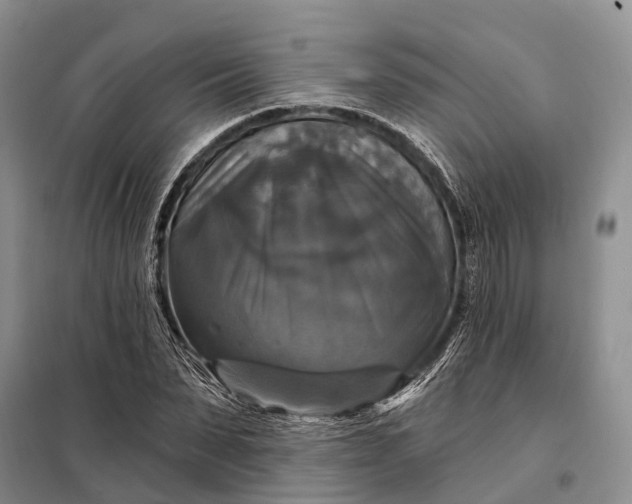 X0000097990879200804071149