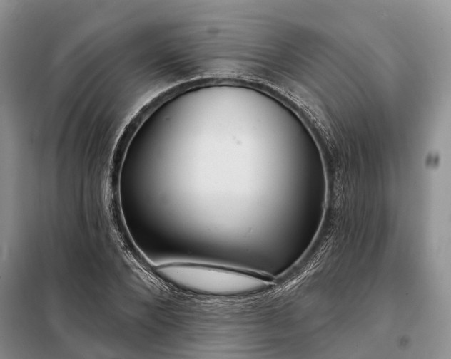 X0000097990880200804071149